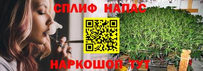тгк Краснодар