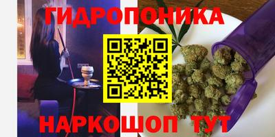 тгк Краснодар