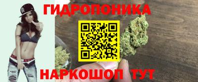 тгк Краснодар